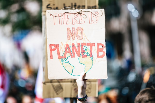 person holding up a cardboard sign saying "there is no planet B"